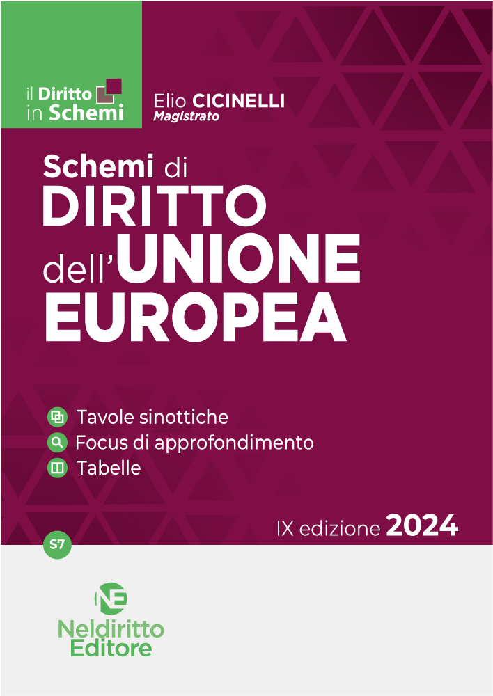 SCHEMI di Diritto Unione Europea 2024
