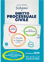 S3 - Schemi Di DIRITTO PROCESSUALE CIVILE