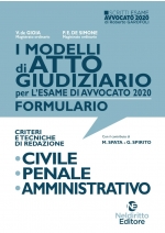 I Modelli di Atto Giudiziario criteri e Tecniche di Redazione: Civile, Penale e Amministrativo 2020