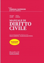 Manuale Superiore di Diritto Civile 2020/2021